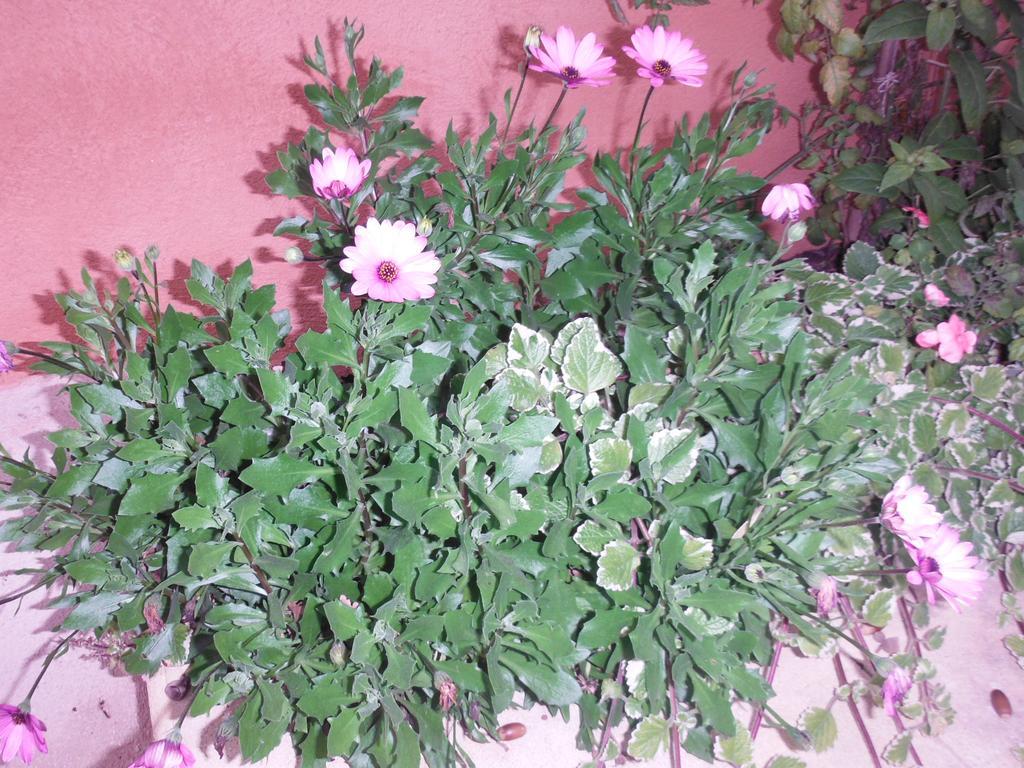 Appartement Le Romarin Mallemort Εξωτερικό φωτογραφία