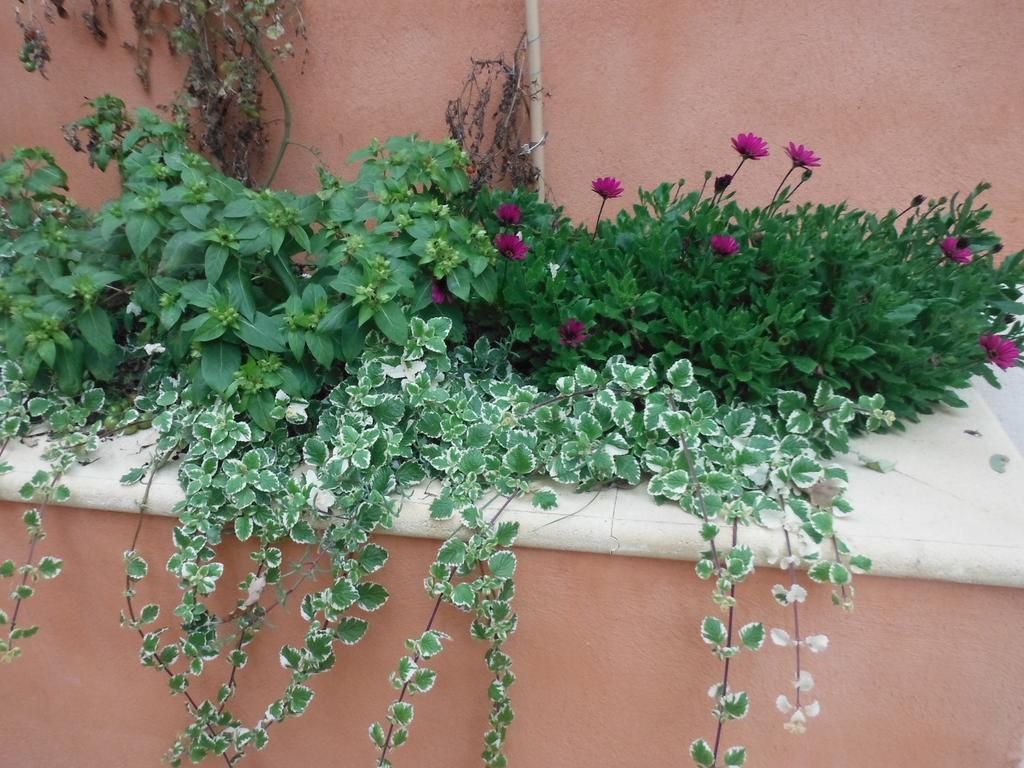Appartement Le Romarin Mallemort Εξωτερικό φωτογραφία